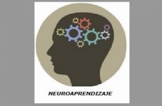 Neuroaprendizaje psicología
