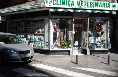 Veterinario La Guindalera