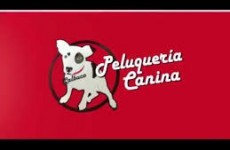 Peluquería Canina Calbuco