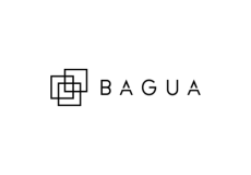Bagua Projects
