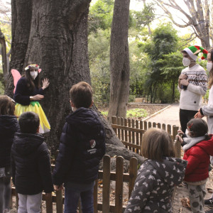 Imagen principal de TALLER PRIMARIA "LA EDAD DE LOS ÁRBOLES"