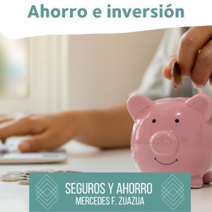 Imagen principal de SEGUROS DE AHORRO E INVERSIÓN EN OVIEDO