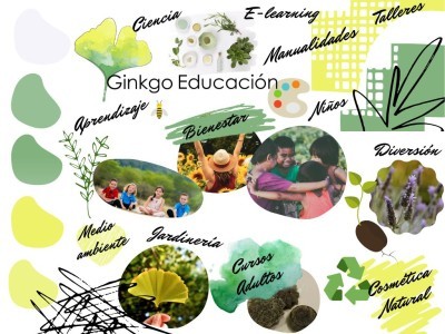 Ginkgo Educación 2