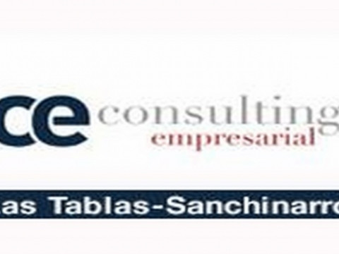 CE Consulting Empresarial