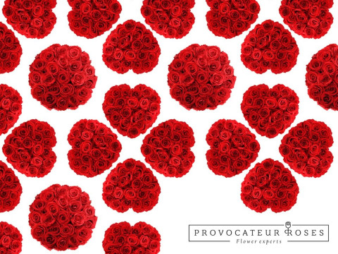 Provocateur Roses