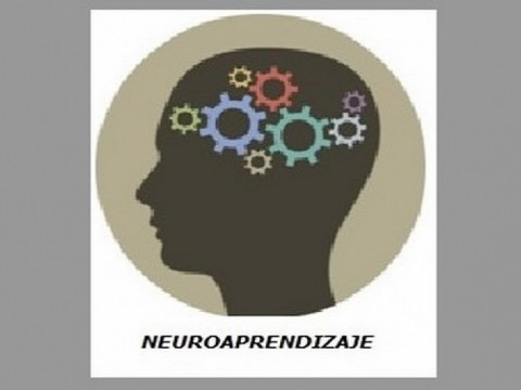 Neuroaprendizaje psicología