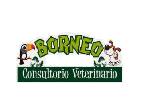 Mascotas Borneo