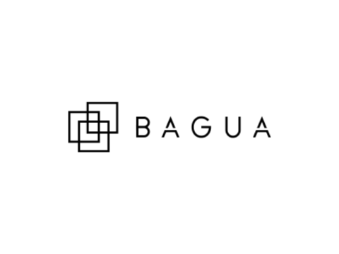 Bagua Projects