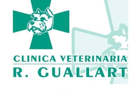 Clínica Veterinaria Raquel Guallart