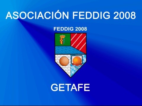 ASOCIACIÓN FEDDIG2008