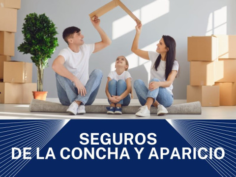 De la Concha y Aparicio Seguros