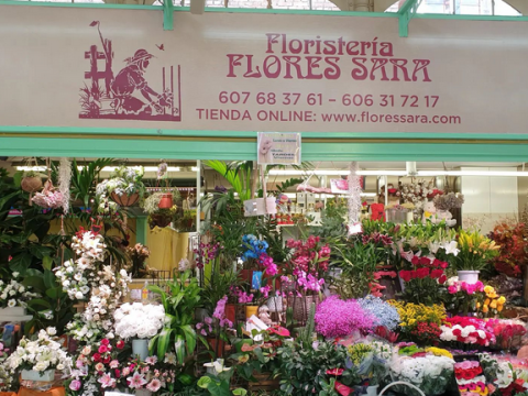 Flores Sara